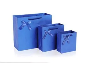 Logotipo personalizado impreso lujo cubierto joyas regalo bolsas de papel con manija de la cuerda de la cinta fabricante de China